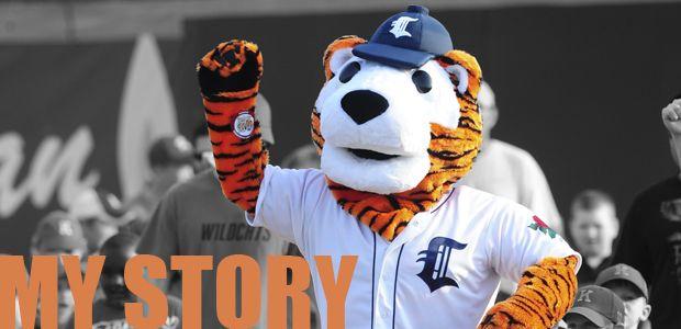 CT Tigers Logo - The Story of C.T. the Tiger | Connecticut Tigers Dodd Stadium