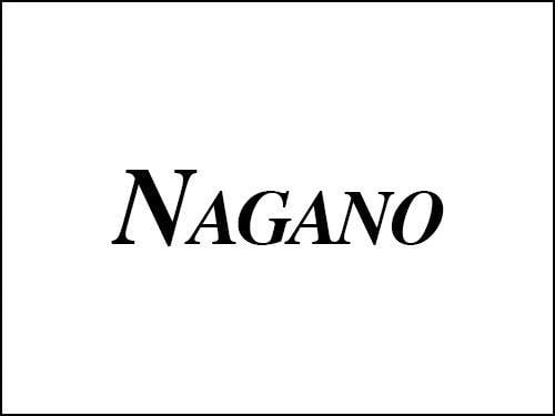 Excavator Nagnao Logo - Nagano Replacement Tracks - Dominion Equipment Parts, LLC