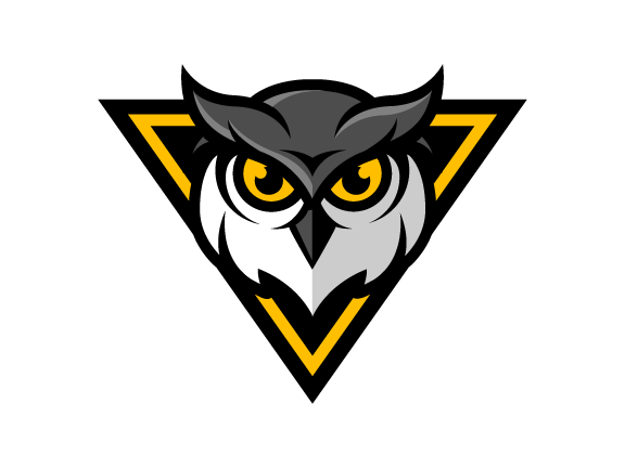 Owls Basketball Logo - DC-Owls-Elite-Basketball-Club_emblem01.png