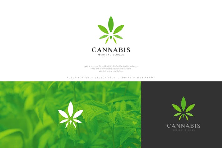 Marijuana Leaf Logo - Cannabis Marijuana Leaf Logo by designhatti on Envato Elements