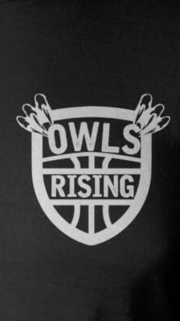 Owls Basketball Logo - Rising Owls, chapter 2 – Hawaii Prep World