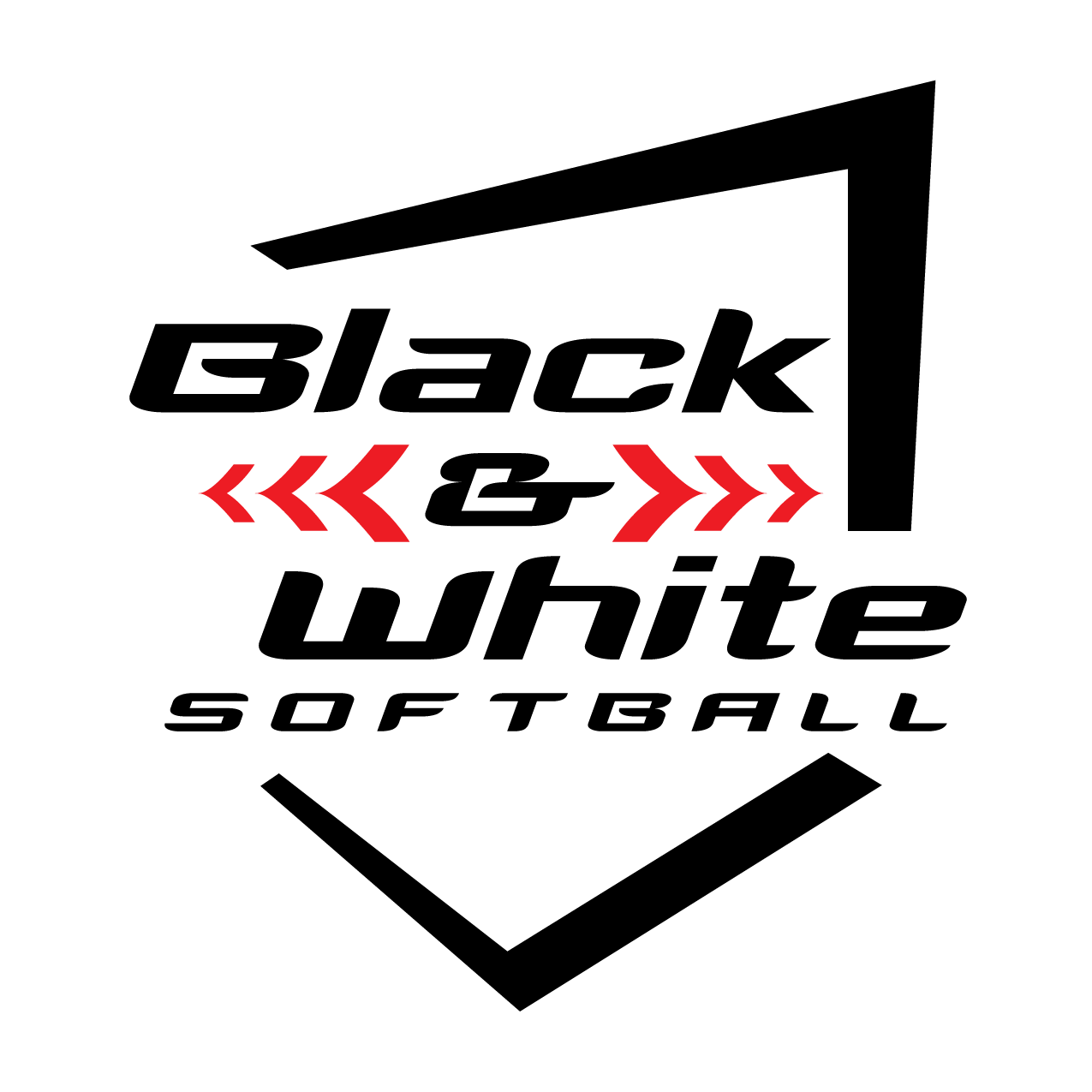 Black and White Baseball Logo - Baseball Training Camp | West Henrietta, NY | Black and White Baseball