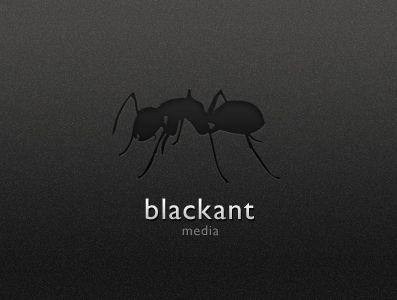 Black Ant Logo - Black Ant Logo by Jason Long | Dribbble | Dribbble