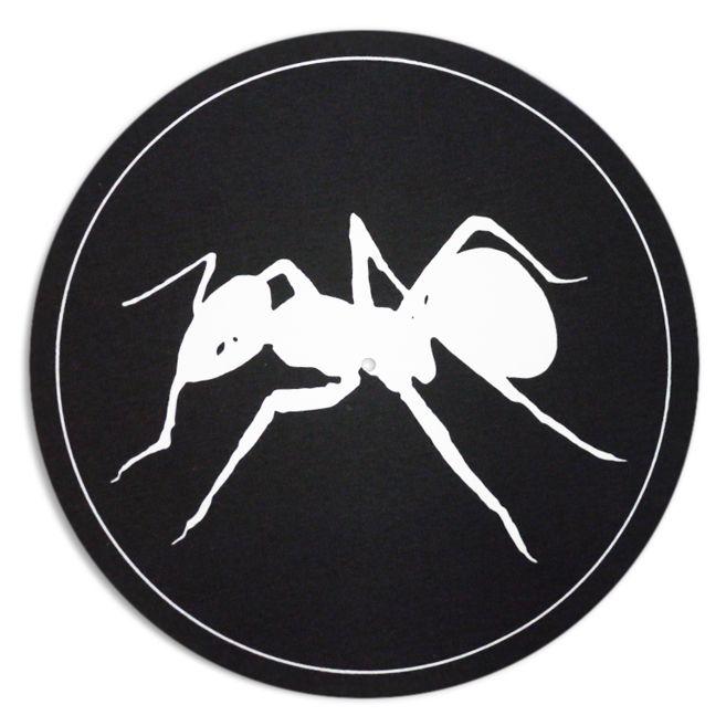 Black Ant Logo - Ant Logos