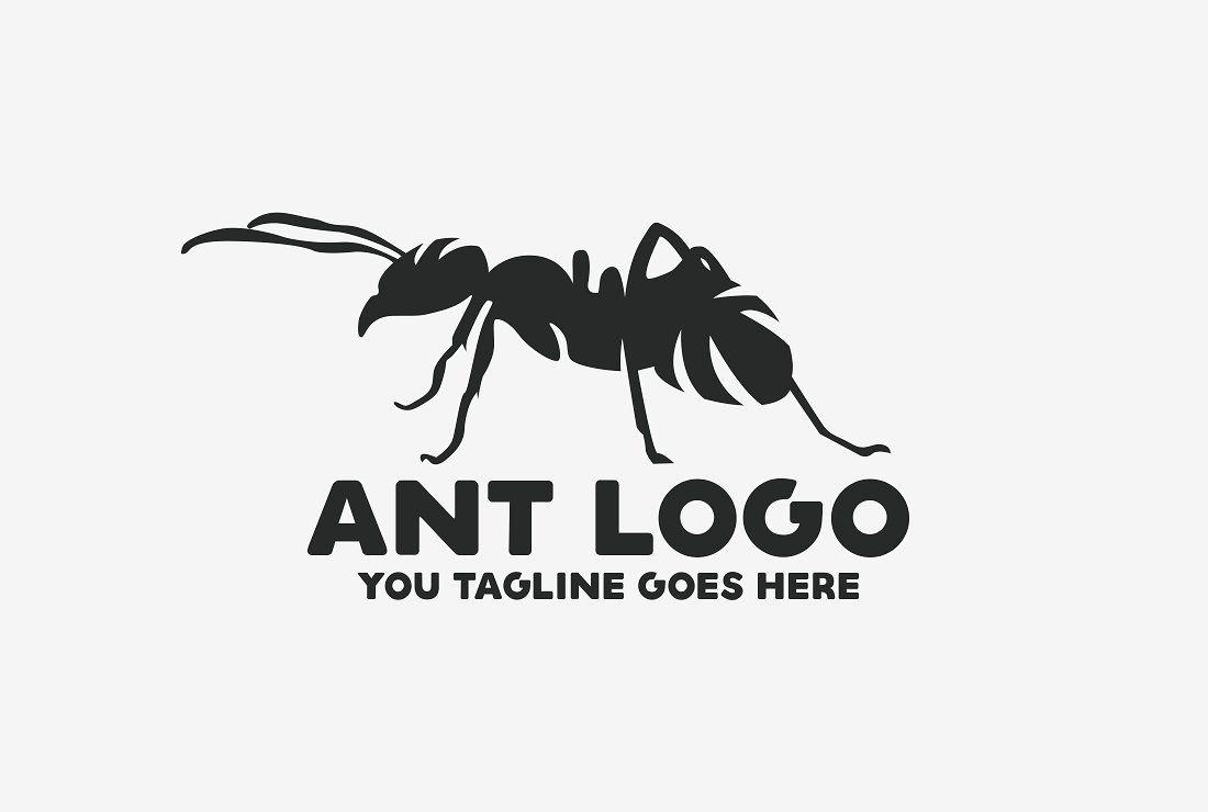 Black Ant Logo - Ant Logo Logo Templates Creative Market