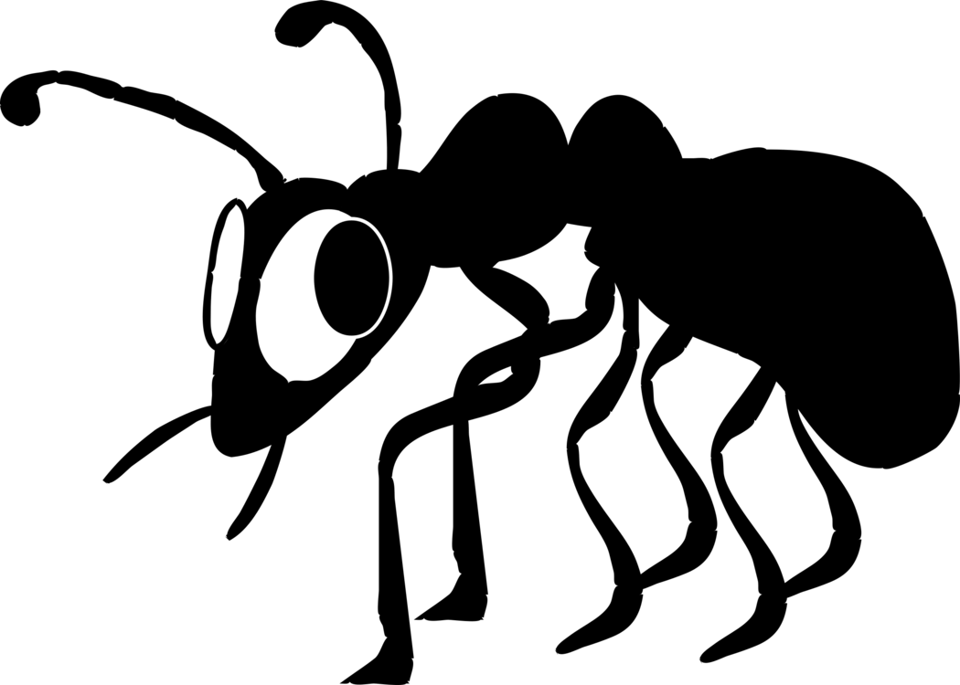Black Ant Logo