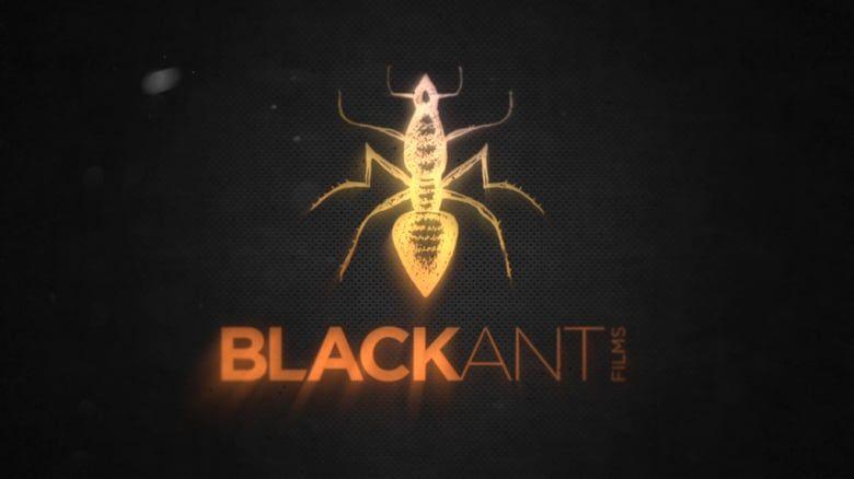 Black Ant Logo - Black Ant Films on Vimeo