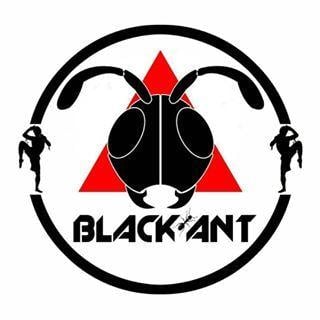 Black Ant Logo - BLACK ANT BOXING MUAYTHAI GYM @blackantindonesia on Instagram ...