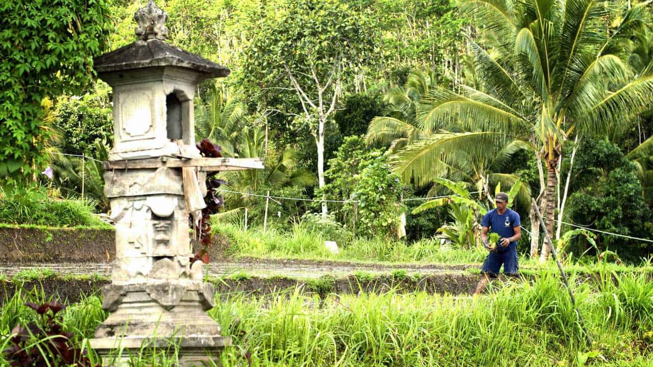 Bali Cultural Association Logo - Balinese beliefs