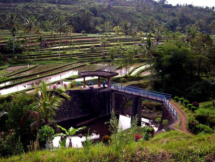 Bali Cultural Association Logo - Cultural Landscape of Bali Province: the <em>Subak</em> System as a ...