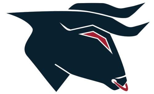 Houston Texans New Logo - New Houston Texans Logo & Uniform Design Concepts And Rebrand – CBS ...