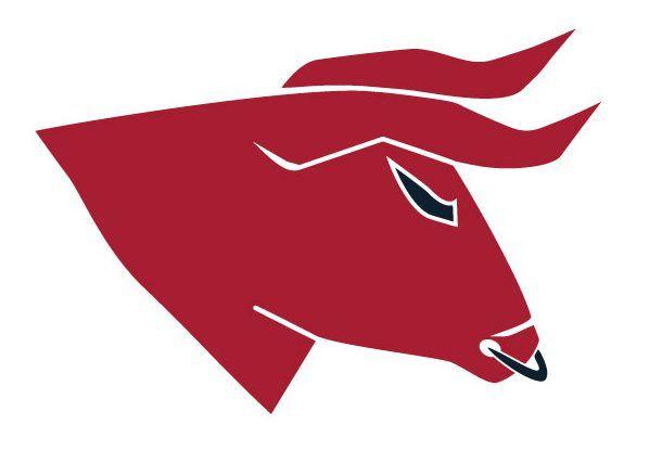 Houston Texans Logo - New Houston Texans Logo & Uniform Design Concepts And Rebrand – CBS ...