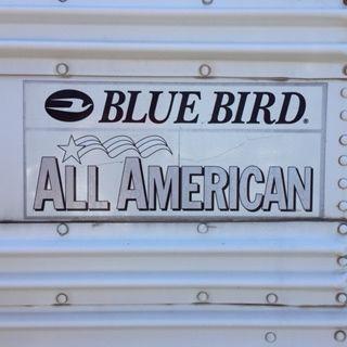 Blue Bird Buses Logo - Used Blue Bird Bus #AE363 Bus Sales Buses