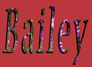 Bailey Name Logo - The Name Bailey Gifts on Zazzle