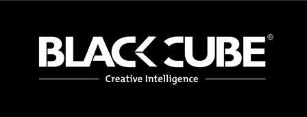 Intelligent Black and White Logo - Black Cube