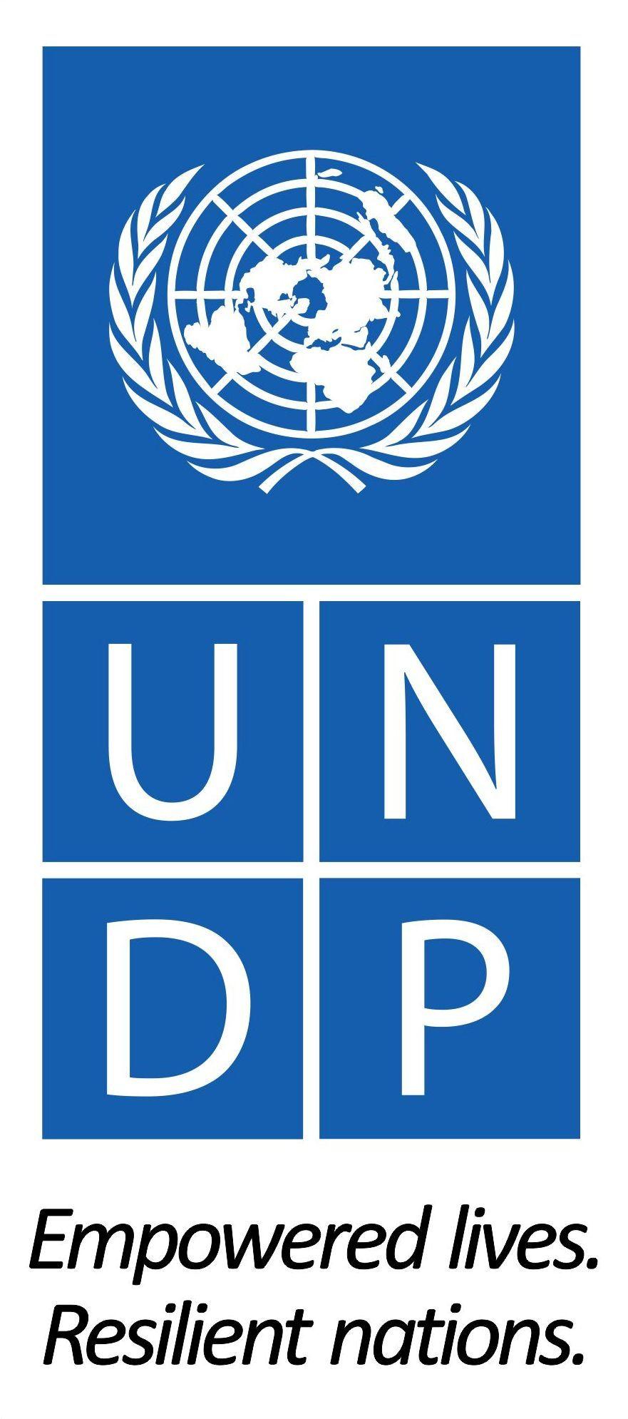 UNDP Logo - UNDP logos and branding guidelines. UNDP in Bosnia and Herzegovina