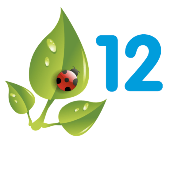 Salesforce Release Logo - Spring 12 Release Notes Rapid Reaction