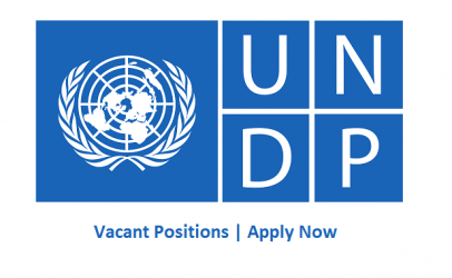 UNDP Logo - Undp Logos