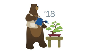 Salesforce Release Logo - Salesforce Spring '18 Platform Highlights