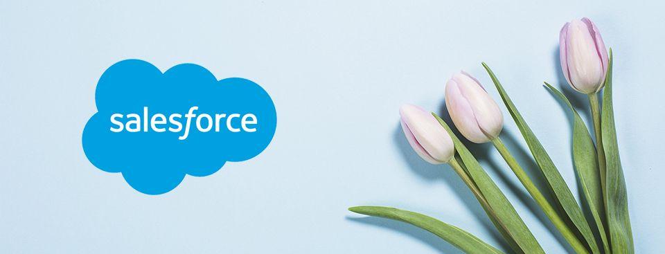 Salesforce Release Logo - Noteworthy Features in the Salesforce Spring '19 Release