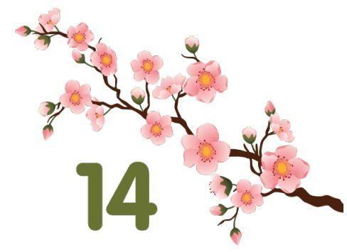 Salesforce Release Logo - Spring-14-Release-Logo – Salesforce Weekly