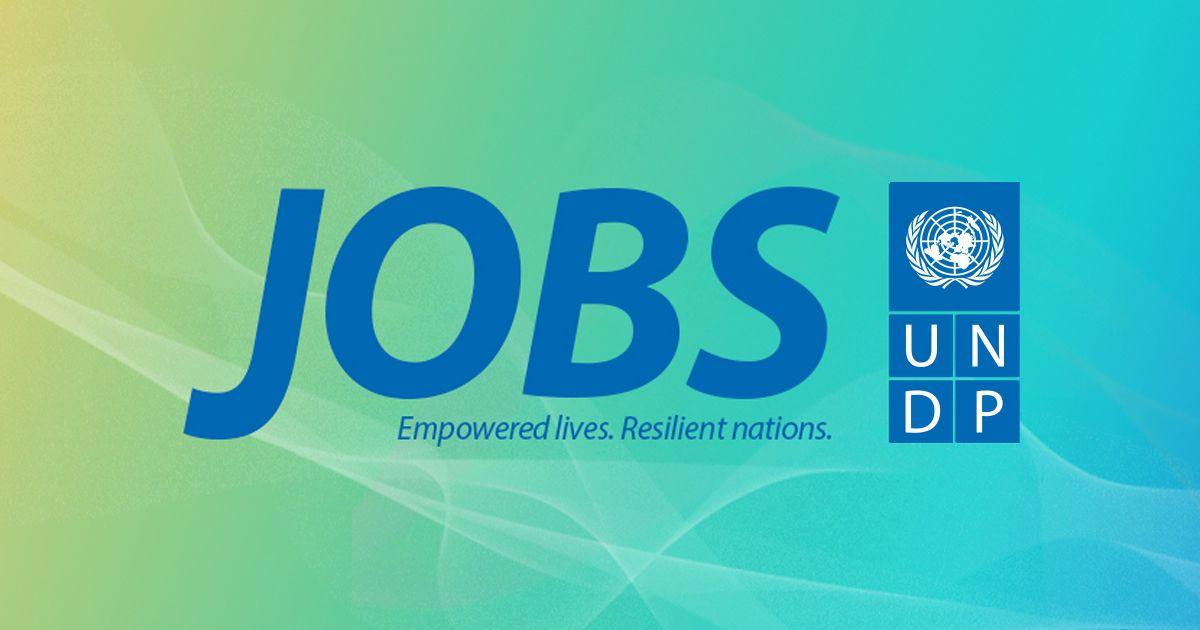 UNDP Logo - UNDP Jobs- National Consultant Formulation of Guideline on D