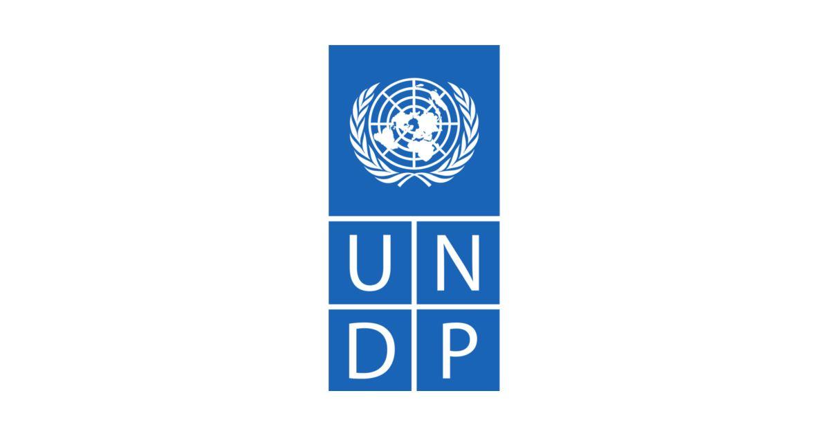 UNDP Logo - UNDP Internship Programme 2018- application form and process