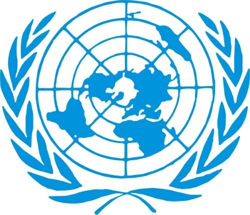 UNDP Logo - United Nations Development Program — Terra Digital Media