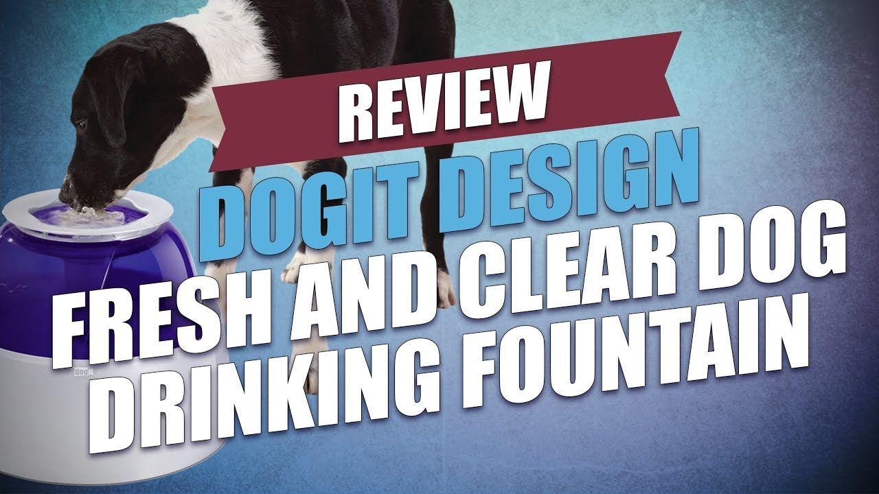 Clear Fountain Logo - DogIt Design Fresh and Clear Dog Drinking Fountain Review - YouTube