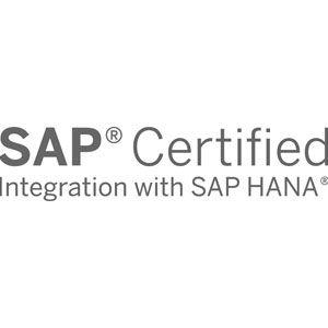 White Sap Logo - SAP Data Management