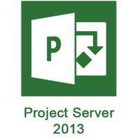 Project Server Logo - Project Server 2010 für Projektleiter Schulungen Kurse in München