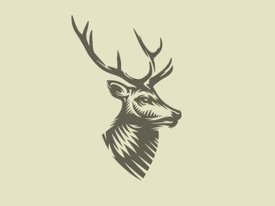 Elk Logo - Elk logo by Mersad Comaga | Dribbble | Dribbble
