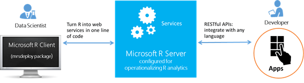Shiny Microsoft Logo - R Server and Shiny