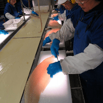 Trident Seafoods Logo - Seafood Processors... - Trident Seafoods Office Photo | Glassdoor.co.uk