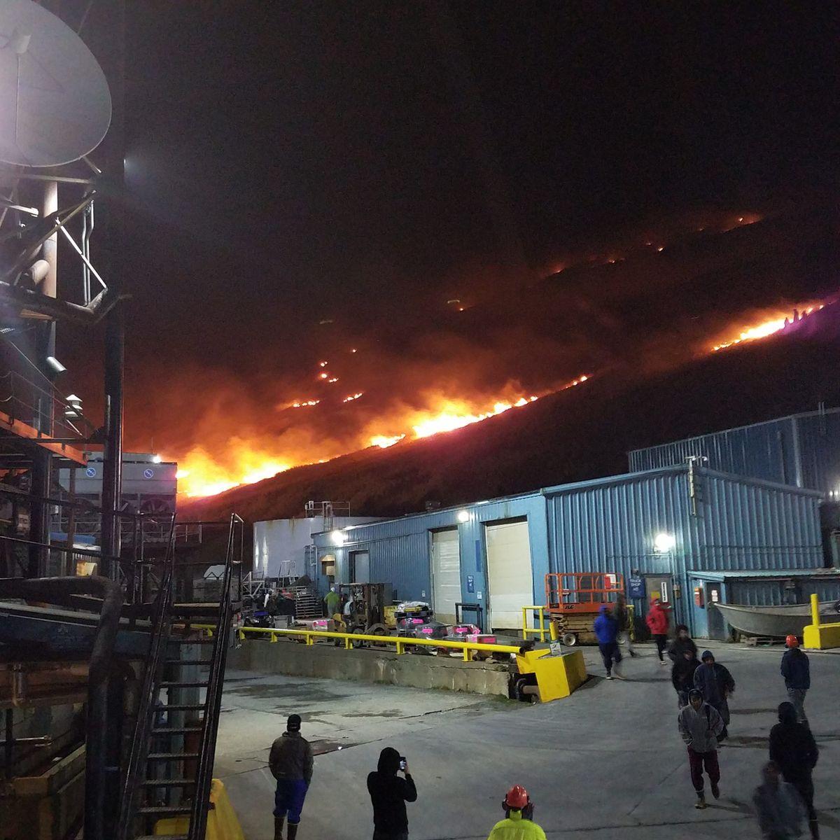 Trident Seafoods Logo - Trident Seafoods didn't report a large brush fire at its Akutan ...