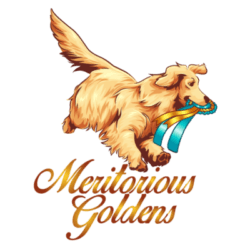 Golden S Logo - Meritorious Goldens – Pureblooded Golden Retrievers