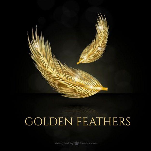 Gold Feather Logo - Golden bright feathers Vector
