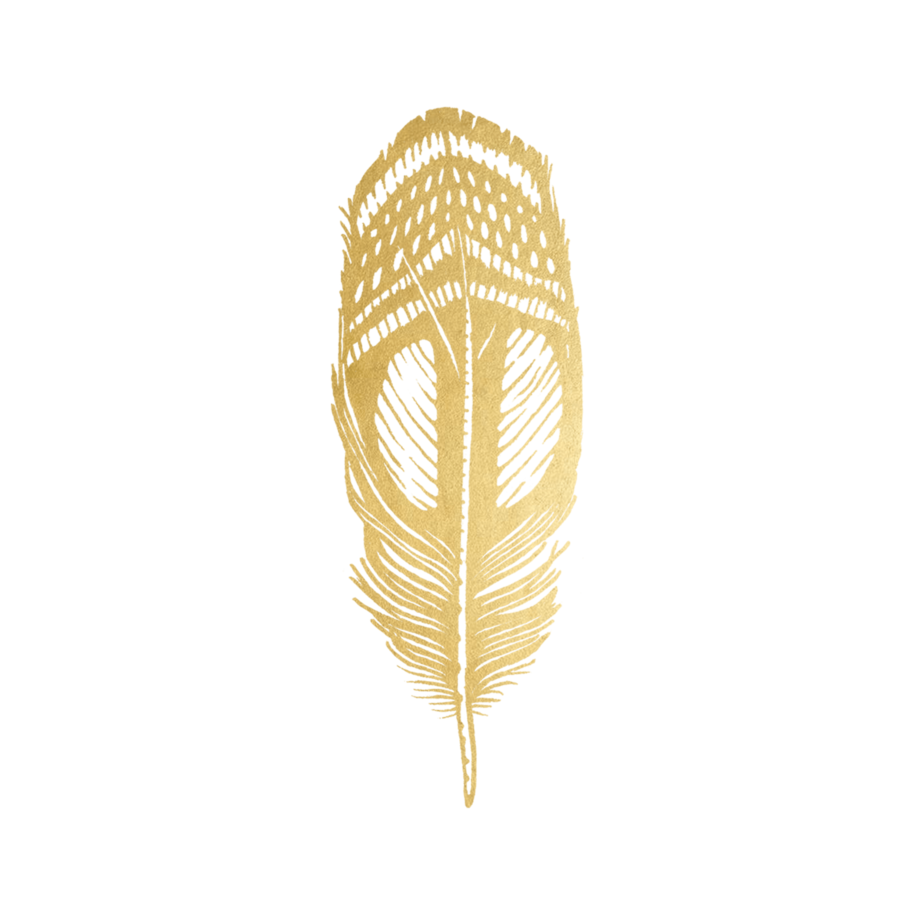 Gold Feather Logo - Quail Feather (Gold) by Jen Mussari from Tattly Temporary Tattoos