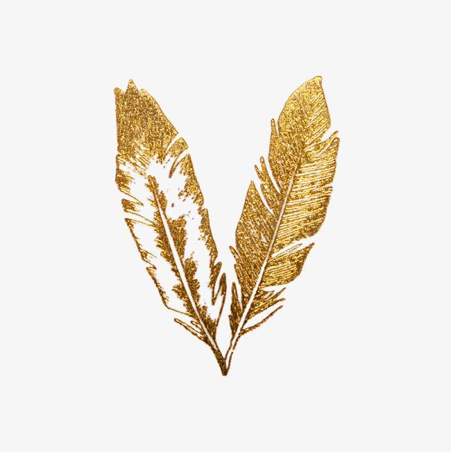 Gold Feather Logo - Golden Feather, Golden, Graphic Design, Fine Feathers PNG Image and ...