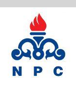 Petrochemical Company Logo - National Petrochemical Company