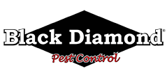 Black Diamond Pest Control Logo - Black Diamond Pest Control - Louisville & Southern Indiana