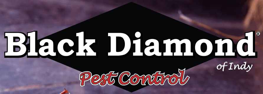 Black Diamond Pest Control Logo - Black Diamond of Indy Pest Control | Better Business Bureau® Profile