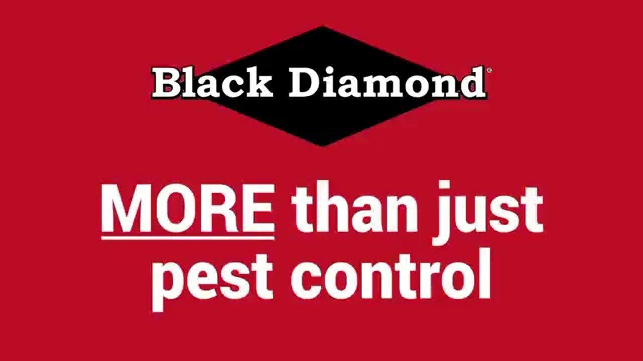 Black Diamond Pest Control Logo - Benefits of Working at Black Diamond