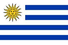 Blue White Yellow Flag Logo - 15 Best South American flags images | Flags of the world, National ...