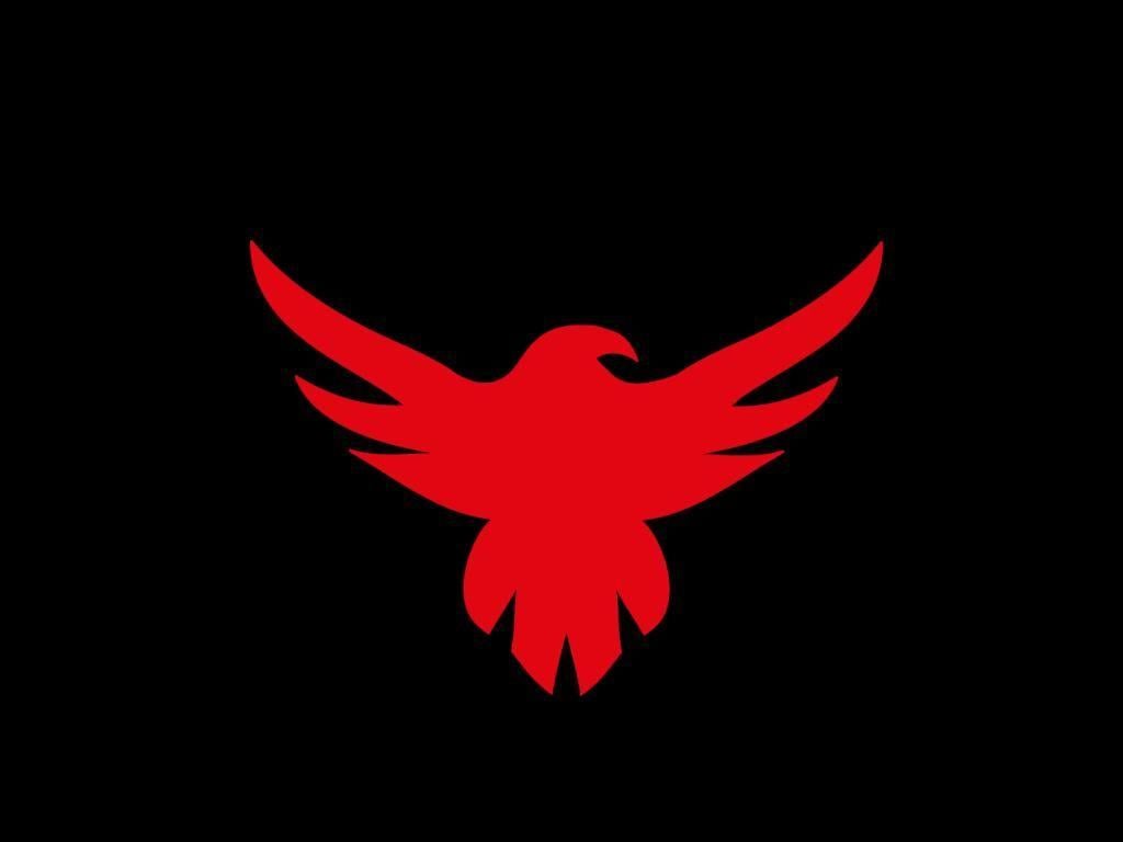 Black and Red Eagle Logo - Black eagle Wallpaper 21 X 1080