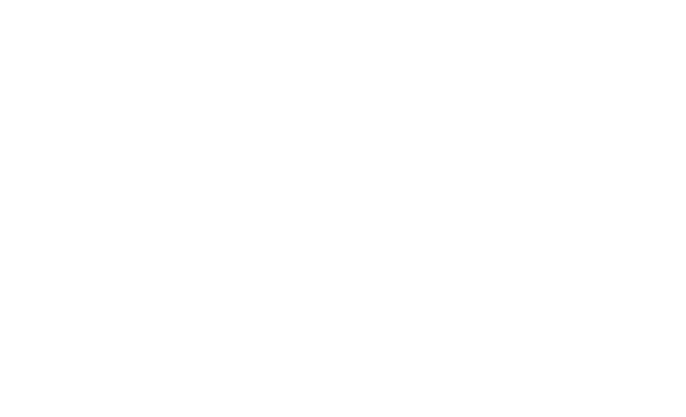 White with Red Swan in Circle Logo - Operations Overview