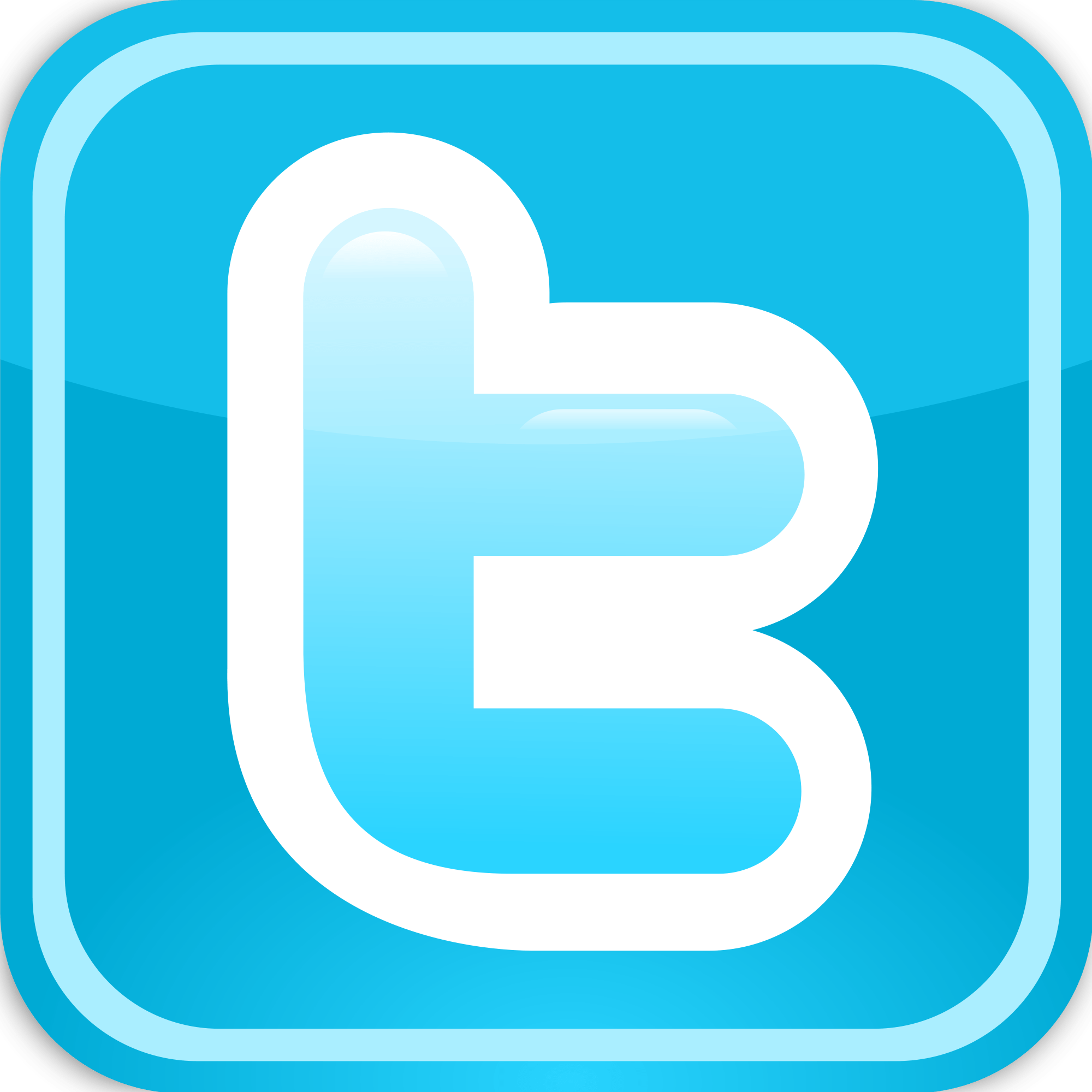 New Twitter Logo - Old Twit Logo