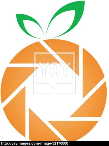 Orange Shaped Logo - Orange shaped snapshot logo vector