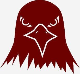 Red Eagle Head Logo - Eagle Head Icon T Shirts & Shirt Designs