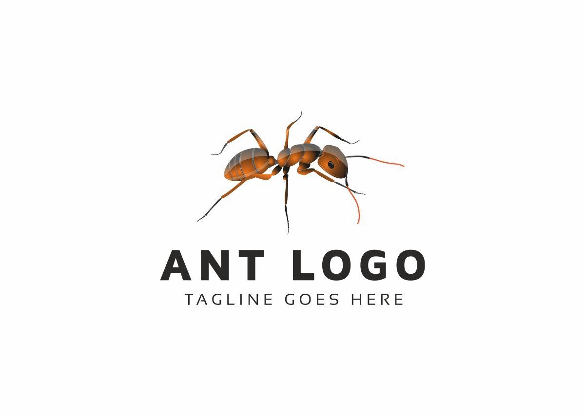 Ant Logo - Ant Logo Template